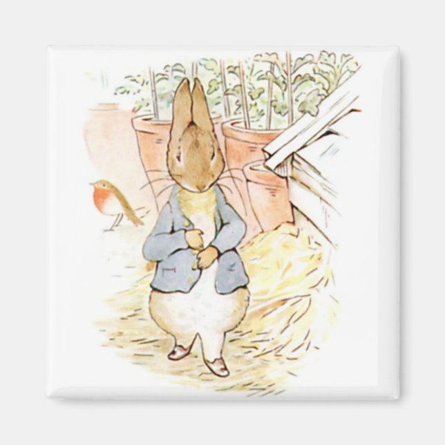 Íman Peter Rabbit in the Garden (por Beatrix Potter) (Frente)