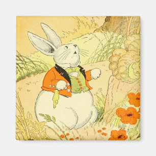 Íman Peter Rabbit Magnet