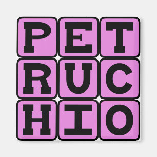 Íman Petruchio, Personagem de A Megera Domada