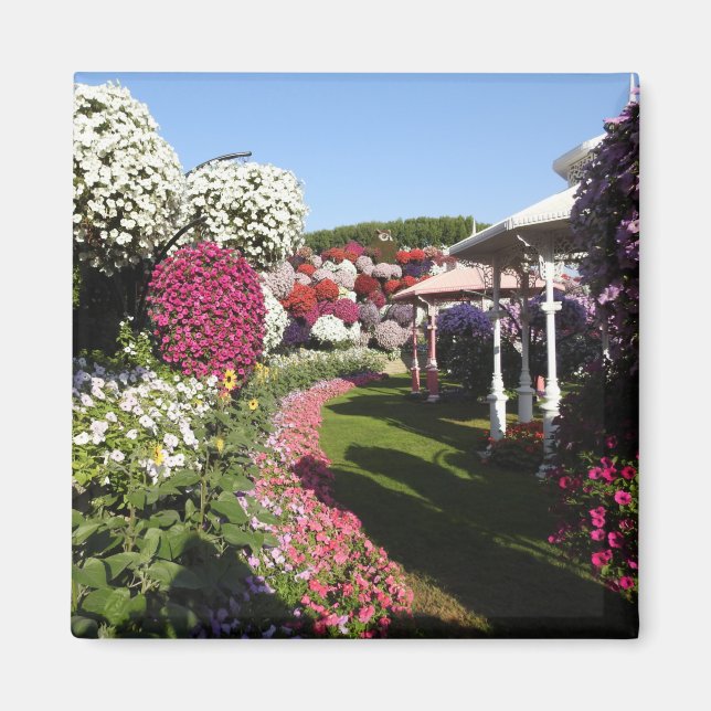 Íman Petunias Magnet (Frente)