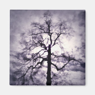 Íman Phantastes Magnet