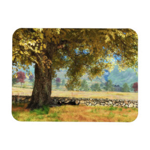 Íman Phantastes: sob o ímã flexível da árvore de faia