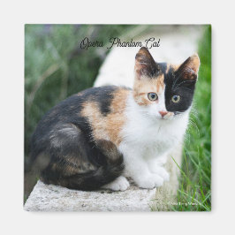 Íman Phantom Opera Cat