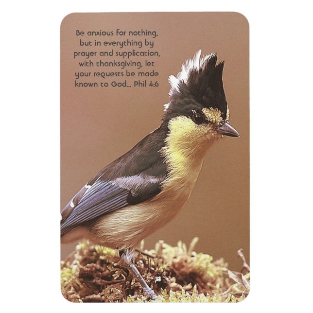 Íman "Phil 4:6" Ansiedade Contentação rezar fé (Vertical)