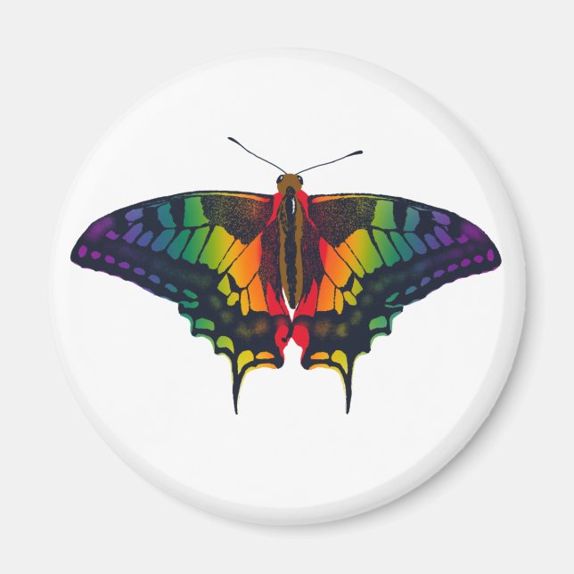 Íman Philadelphia Rainbow Prim Flag Swallowtail (Frente)