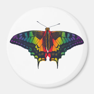 Íman Philadelphia Rainbow Prim Flag Swallowtail