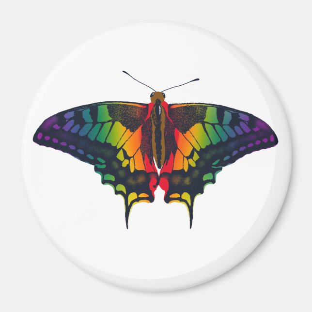 Íman Philadelphia Rainbow Prim Flag Swallowtail (Frente)