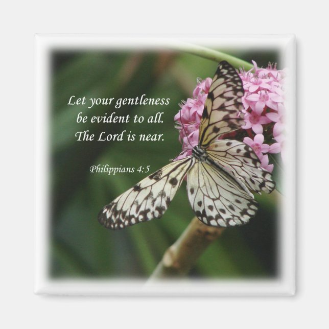 Íman Philippians 4:5 Flores De Borboleta (Frente)