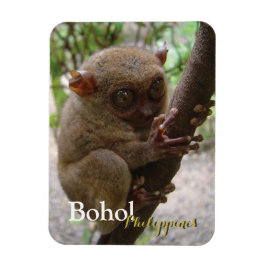 Íman Philippine Tarsier de Bohol