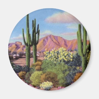 Íman Phoenix Arizona Camelback Mountain