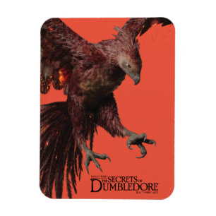 Íman Phoenix Flying Graphic