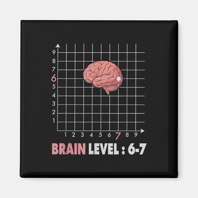 Íman Piada 67 Meme Matemática Seis Sete Professor Brain (Frente)