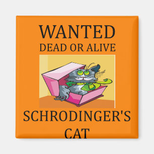 Íman piada do gato dos schrodinger
