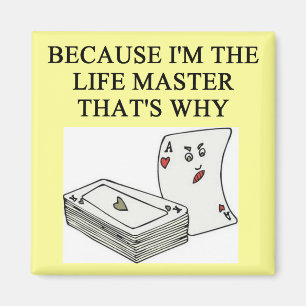 Íman piada perita da ponte duplicada