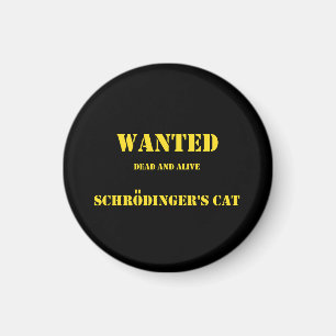 Íman Piada Quântica Divertida: O Gato de Schrödinger à