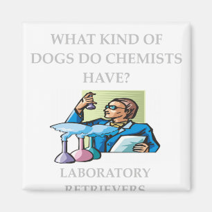 Íman piadas da química
