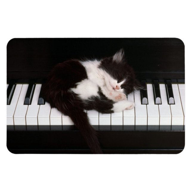 Íman Piano Kitten (Horizontal)