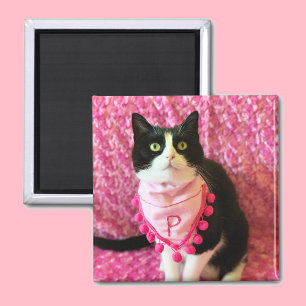 Íman Pica o ímã cor-de-rosa Tuxedo