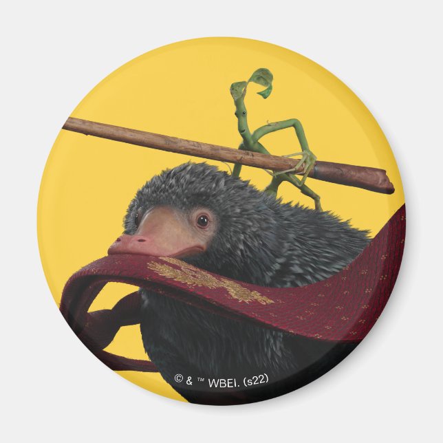 Íman Pickett e Ursinho com Wand e Tie (Frente)