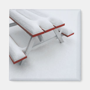 Íman picnic de neve