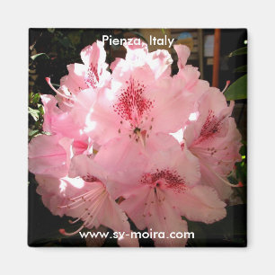 Íman Pienza, Itália