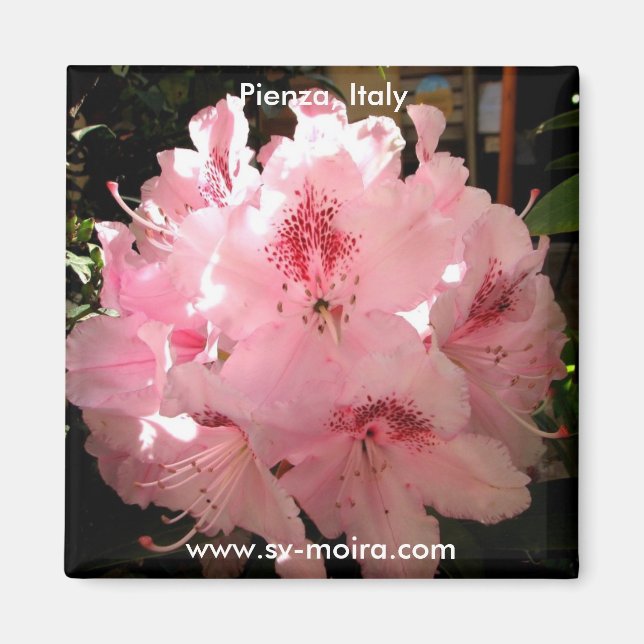 Íman Pienza, Itália (Frente)