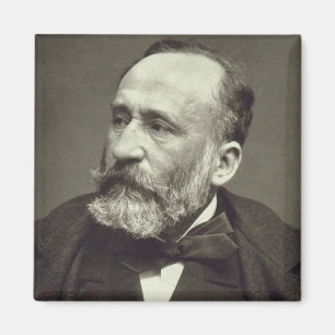 Íman Pierre Cecile Puvis de Chavannes (1824-98), de '