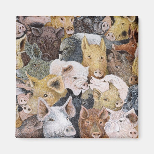 Íman Pigs Galore (Frente)