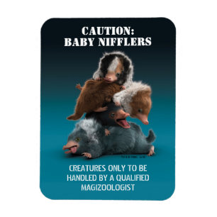 Íman Pilha Baby NIFFLER™