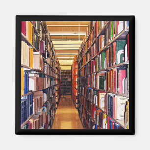 Íman Pilhas da biblioteca