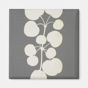 Íman Pimenta de caiena