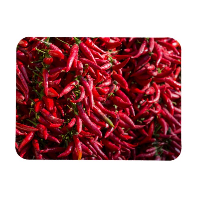 Íman Pimenta Vermelha Picante Na Cidade De Kalocsa (Horizontal)