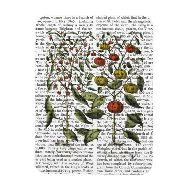 Íman Pimentos 4 (Vertical)