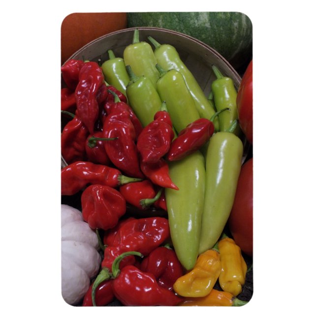 Íman Pimentos Chili Etc. (Vertical)
