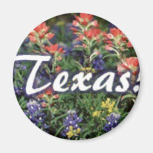 Íman Pincéis dos Bluebonnets de Texas