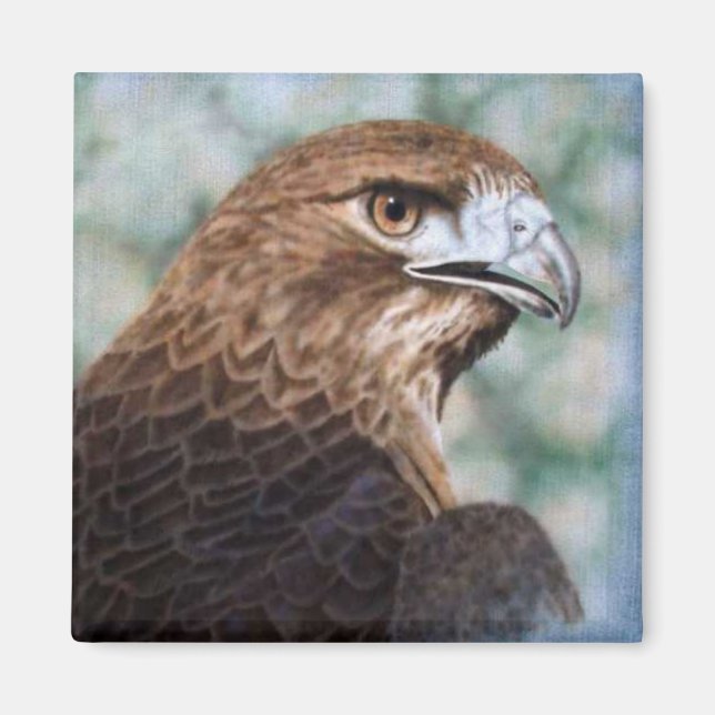 Íman Pincel de avião Hawk de cauda vermelha (Frente)