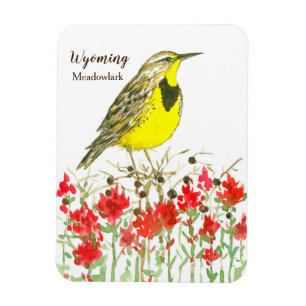 Íman Pincel indiano Meadowlark Wyoming