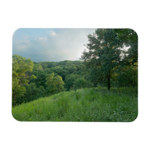 Íman Pine Bend Bluff Sobrevendo áreas florestais do Val