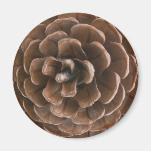 Íman Pine cone