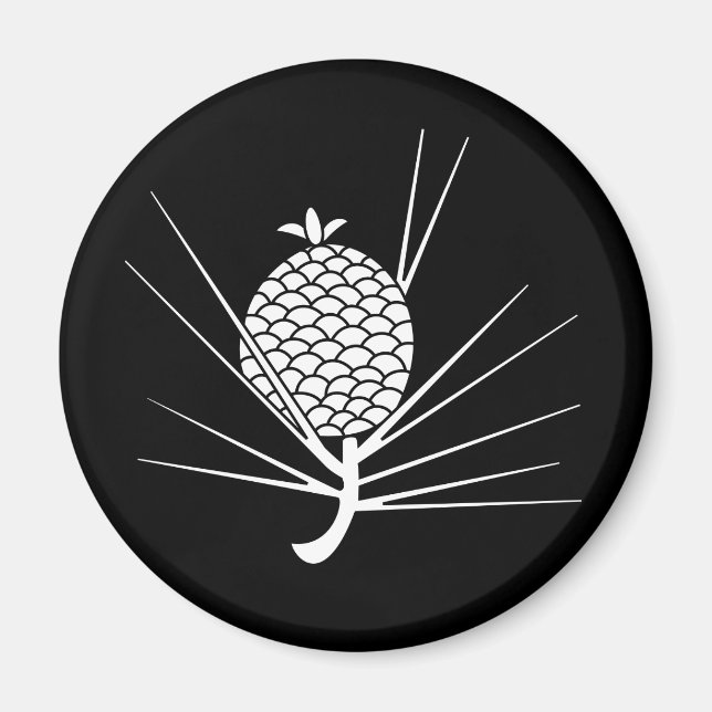 Íman Pine cone com agulhas (Frente)