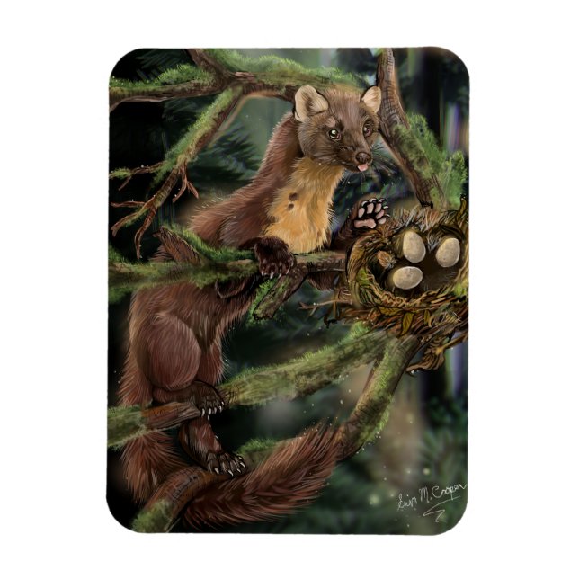 Íman Pine Marten Europeu (Vertical)