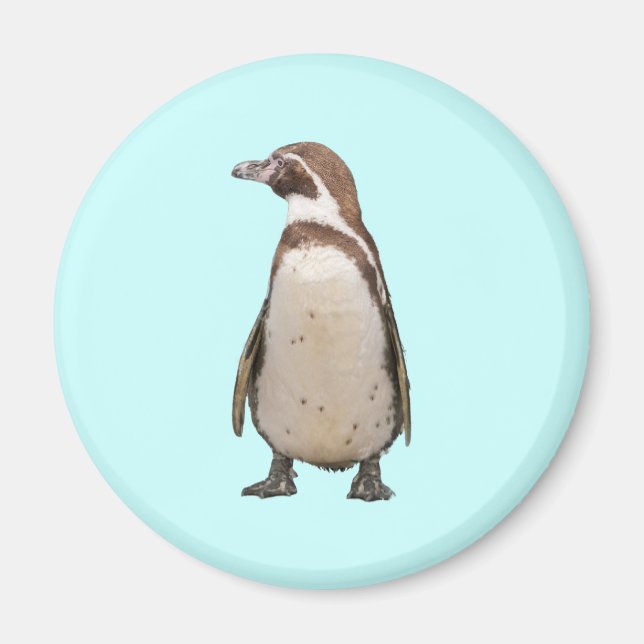 Íman Pinguim (Frente)