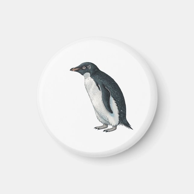 Íman Pinguim (Frente)