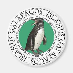 Íman Pinguim das Ilhas Galápagos