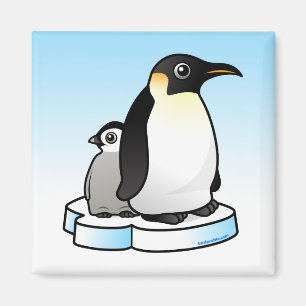 Íman Pinguim de imperador com pintinho
