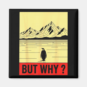 Íman Pinguim mas por que ir em direção às montanhas
