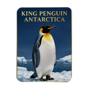 Íman 🐧 Pinguim Rei Antártida Vida Selvagem