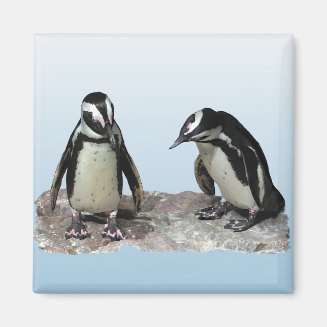 Íman Pinguins (Frente)