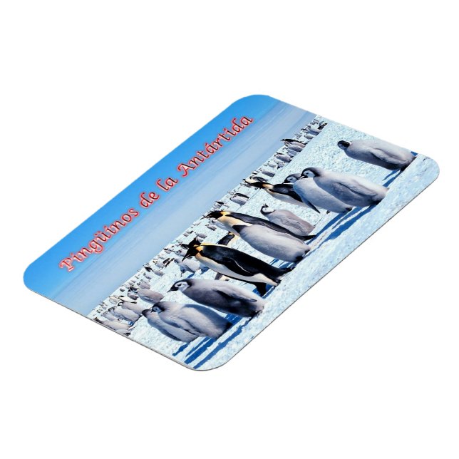 Íman Pinguins da Antártica - (Left Side)