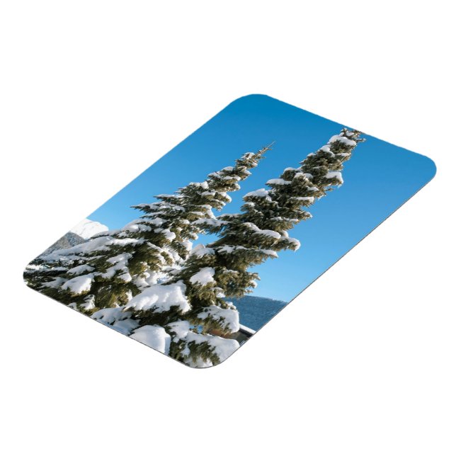 Íman Pinheiros sob a neve (Left Side)